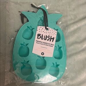 Freebie!! Blush Aqua Pineapple Ice Mold